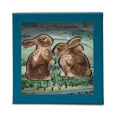 Clever Creatures Bunny Salt and Pepper Set