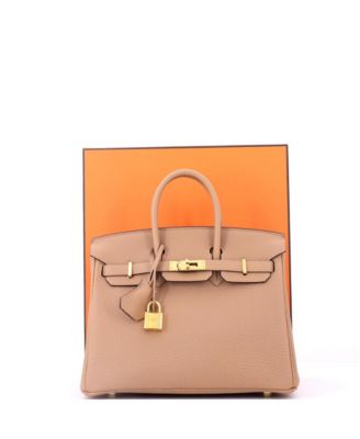 Birkin 25 Handbag Brown Togo with Gold Hardware