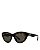 Shiny black /solid brown