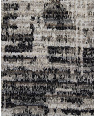 Feizy Sonora SNR39NYF Area Rug 9' x 12'7"