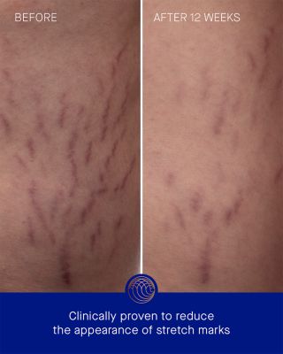 The Geranium Rose Body Cream 6.7 oz.