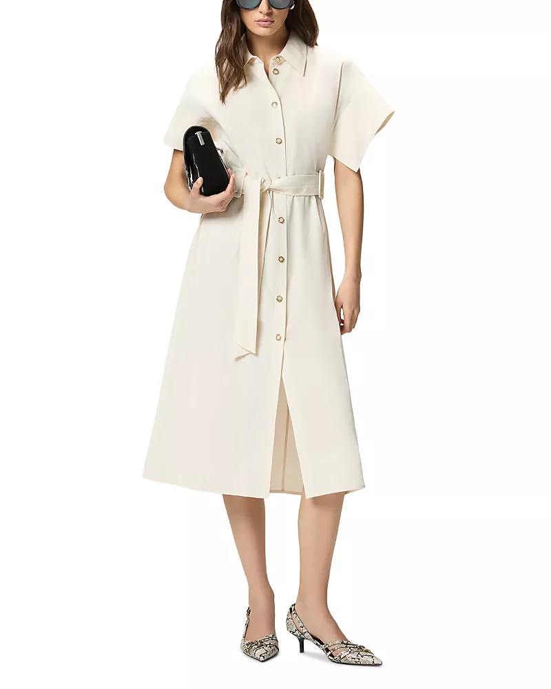 Pinko Alesha Dress