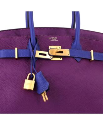 Birkin 30 Handbag Bicolor Togo with Brushed Gold Hardware