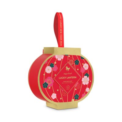 Lucky Lantern 2 Piece Bento Box Duo