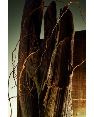 Man Wood Essence Parfum 3.4 oz.