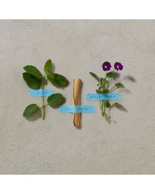 Bold Blend Eau de Parfum 3.4 oz.