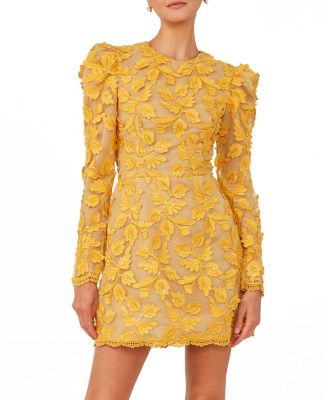 Christy Embroidered Long Sleeve Mini Dress