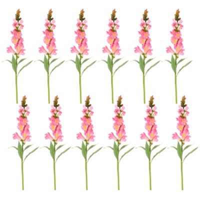 Snapdragon Stem, Set of 12