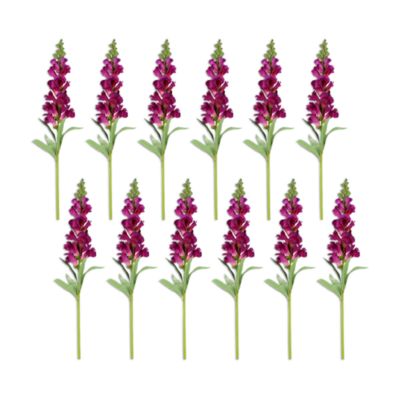 Snapdragon Stem, Set of 12