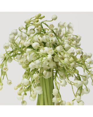 Cashmere Mist Eau de Parfum Luxury Duo Gift Set