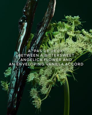 L'Art & La Mati&egrave;re Ang&eacute;lique Noire Eau de Parfum 6.8 oz.