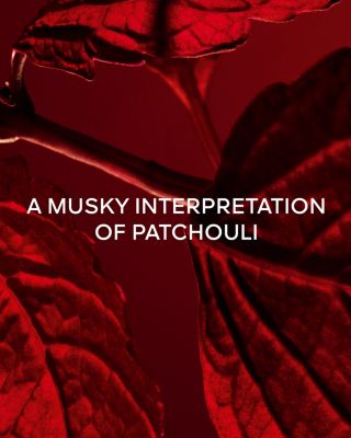 L'Art & La Mati&egrave;re Patchouli Paris Eau de Parfum 3.4 oz.