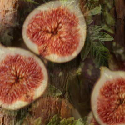 Fico Aromatico Home Fragrance Collection