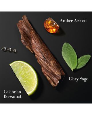 Acqua di Giò Eau de Parfum Intense 3.3 oz.