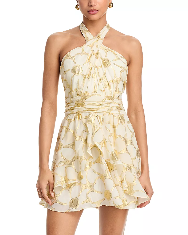 Ramy Brook Daisy Reuben Mini Dress