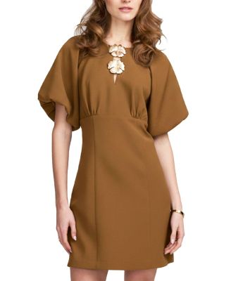Balloon Sleeve Dress