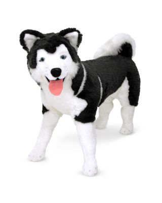 Husky Plush