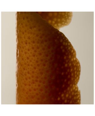 Rind Concentrate Body Balm 17 oz.