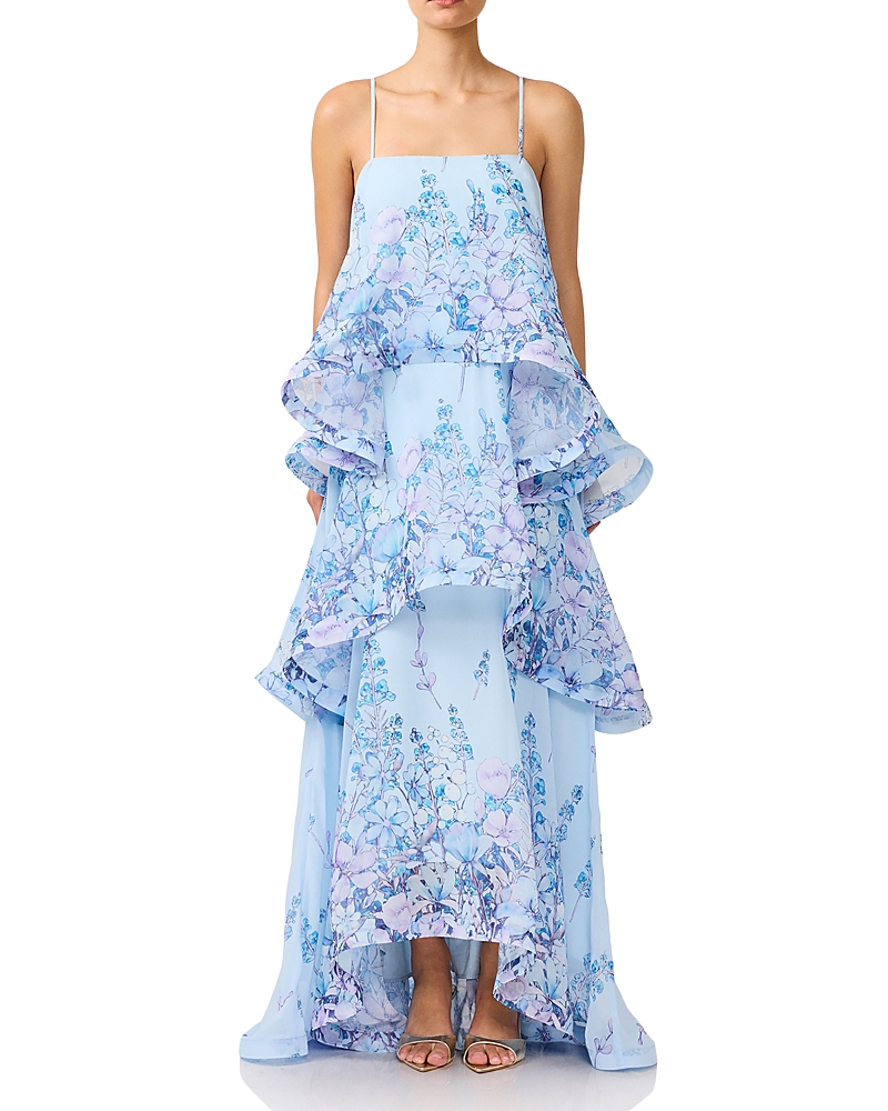 Elliatt Armani Tiered Maxi Dress
