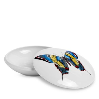 Farfalle Round Butterfly Box
