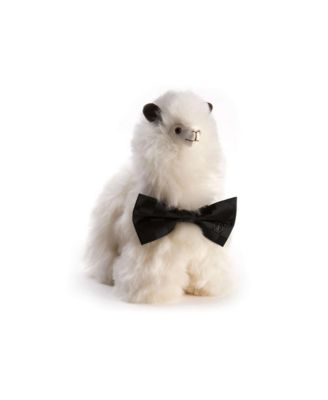 Paco Stuffed Animal, Ages 4+ Years