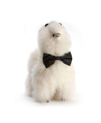 Paco Stuffed Animal Medium, Ages 4+ Years