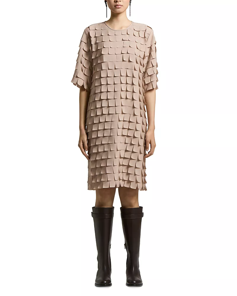 Peserico Woman Dress in Embroidered Fringed Chiffon
