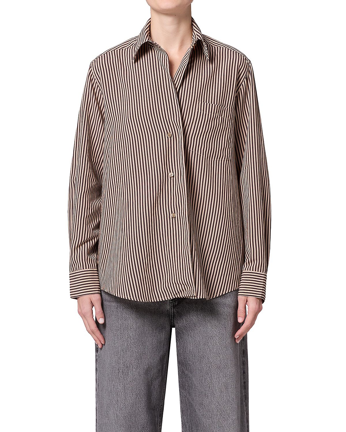 Agolde Aris Stripe Button Front Shirt
