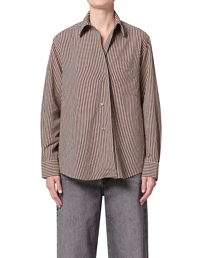 Agolde Aris Stripe Button Front Shirt