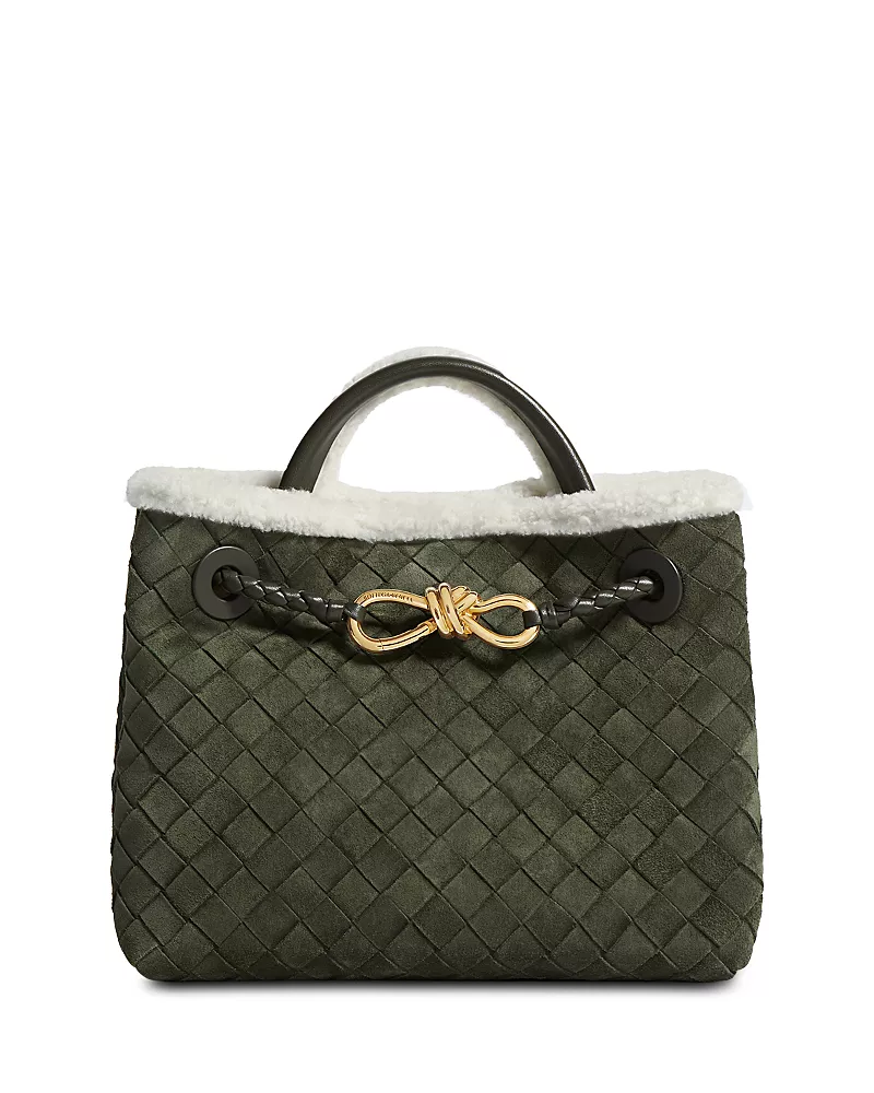 Bottega Veneta Andiamo Intrecciato Shearling Trim Bag