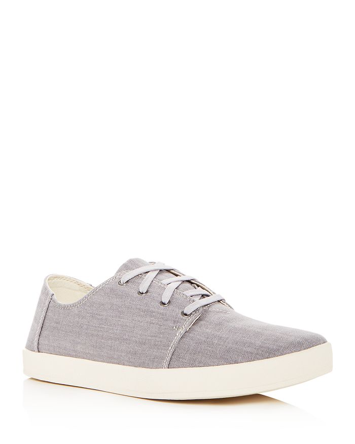Toms payton sneaker hot sale