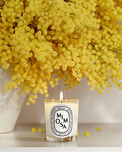 CANDLES & HOME SCENTS