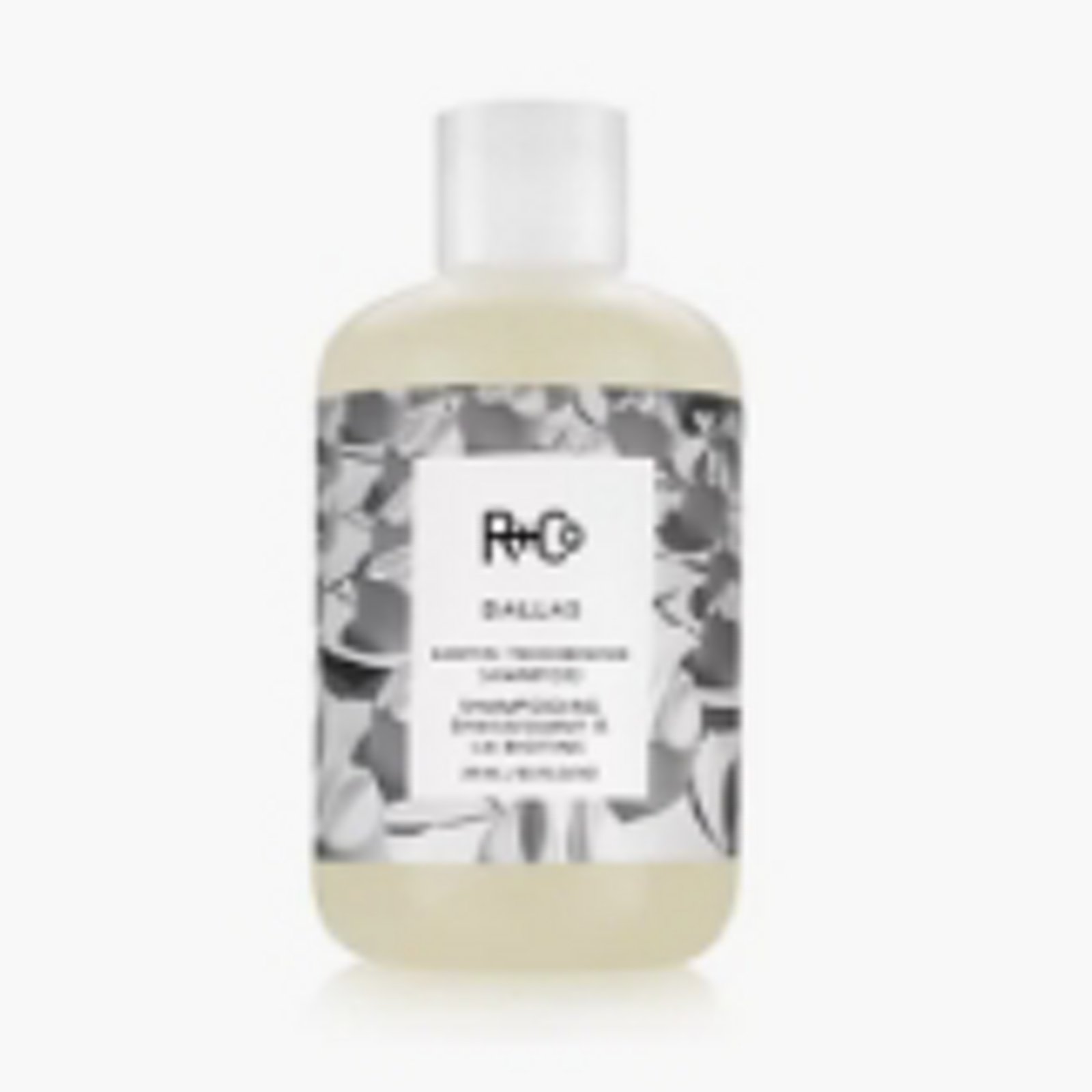 R+Co