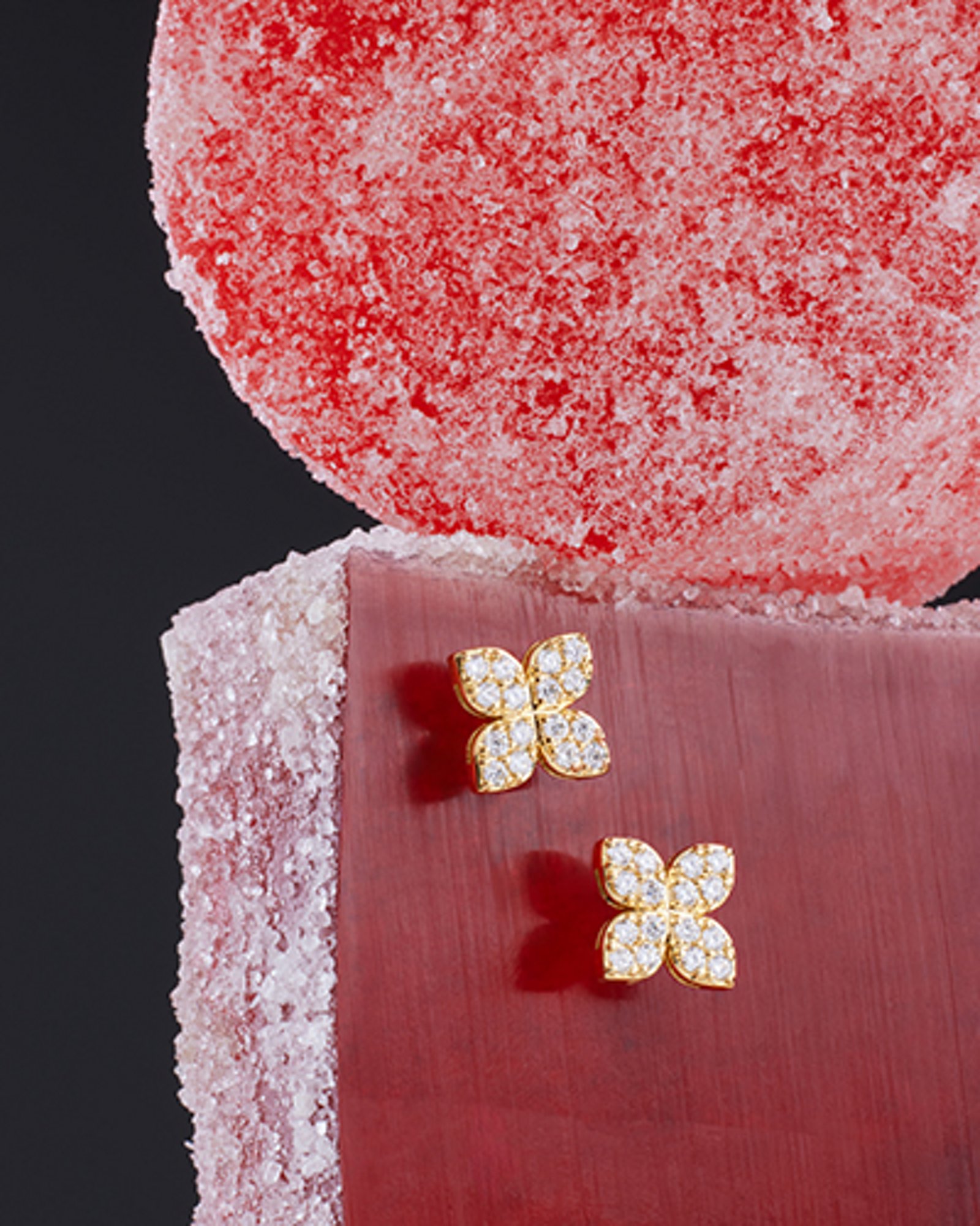 Roberto Coin earrings