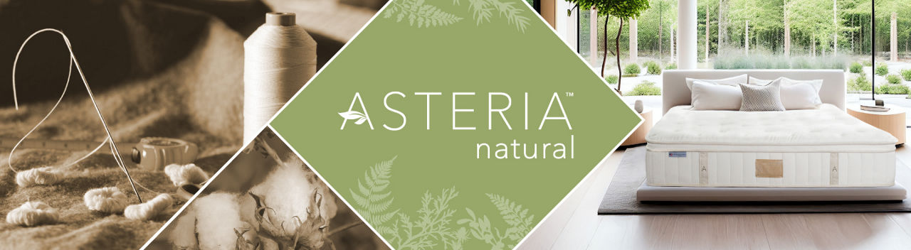 1 photo of Asteria mattress.