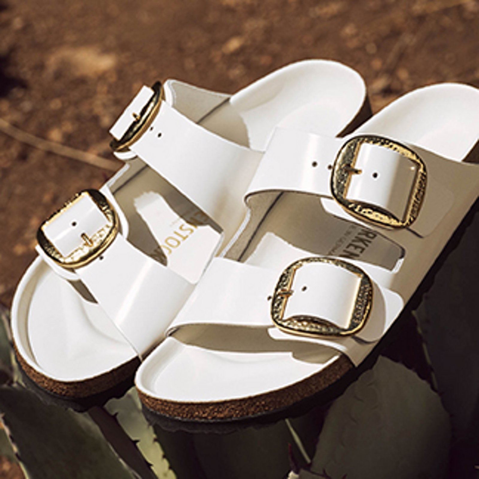 Big Buckle