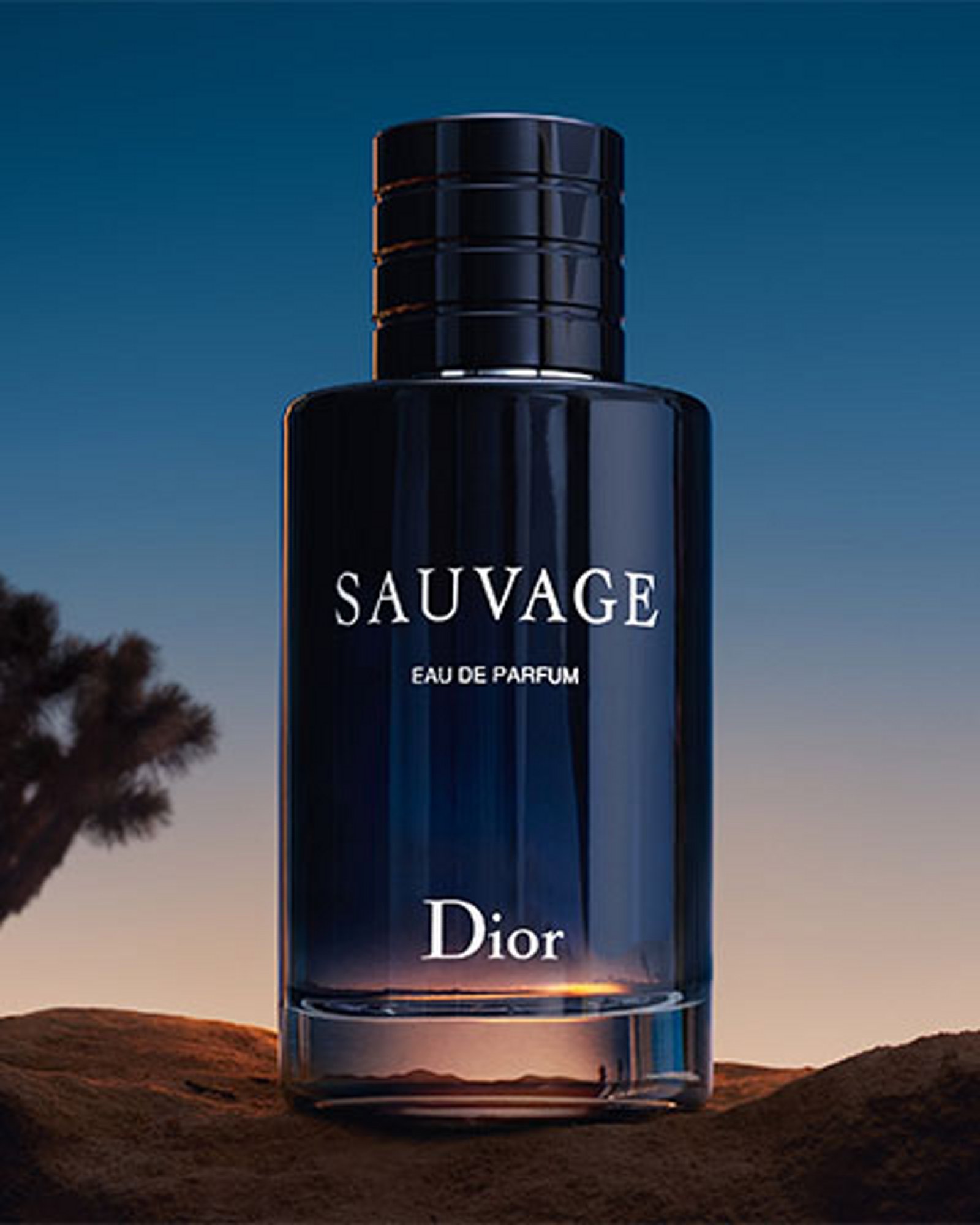 Fragrance