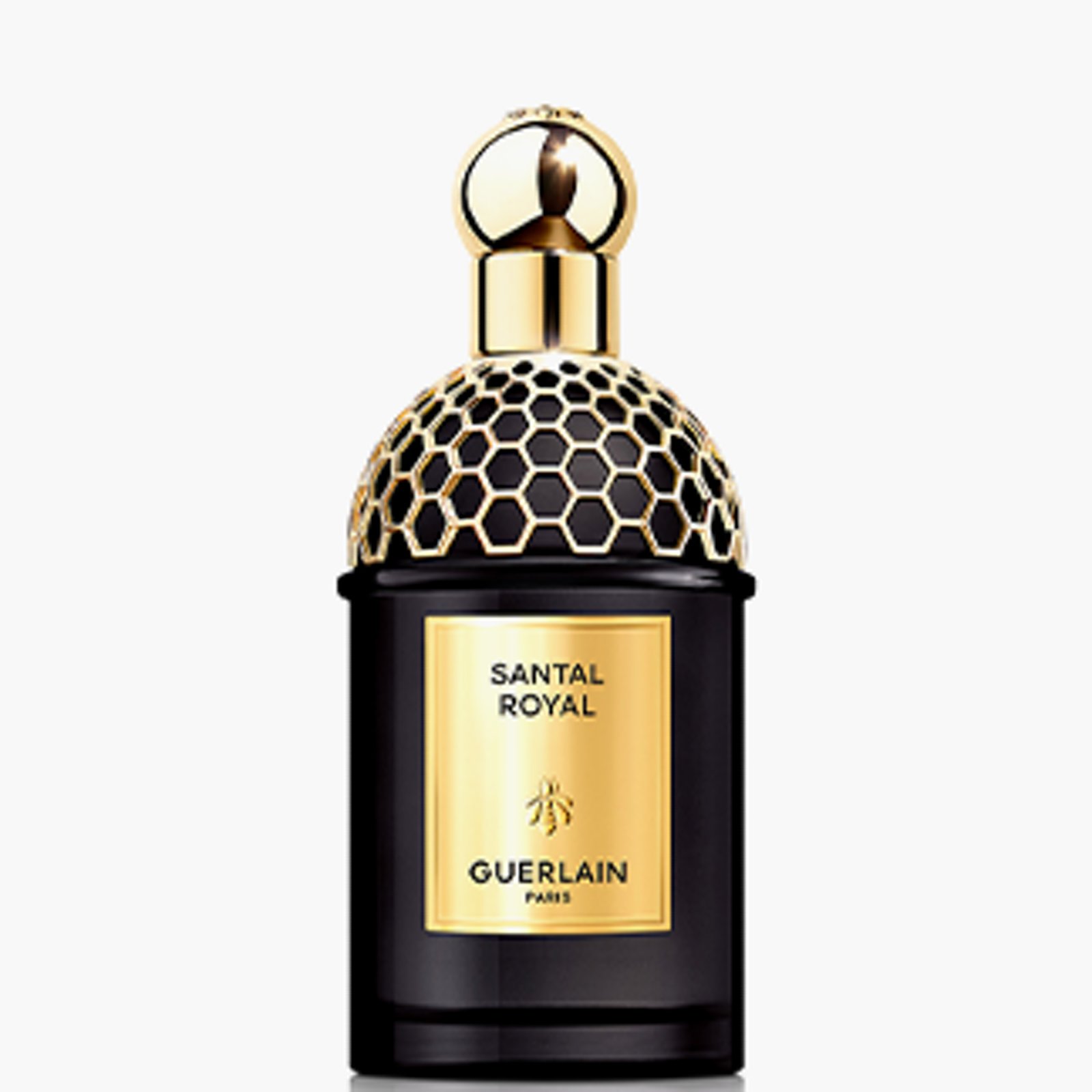 Fragrance