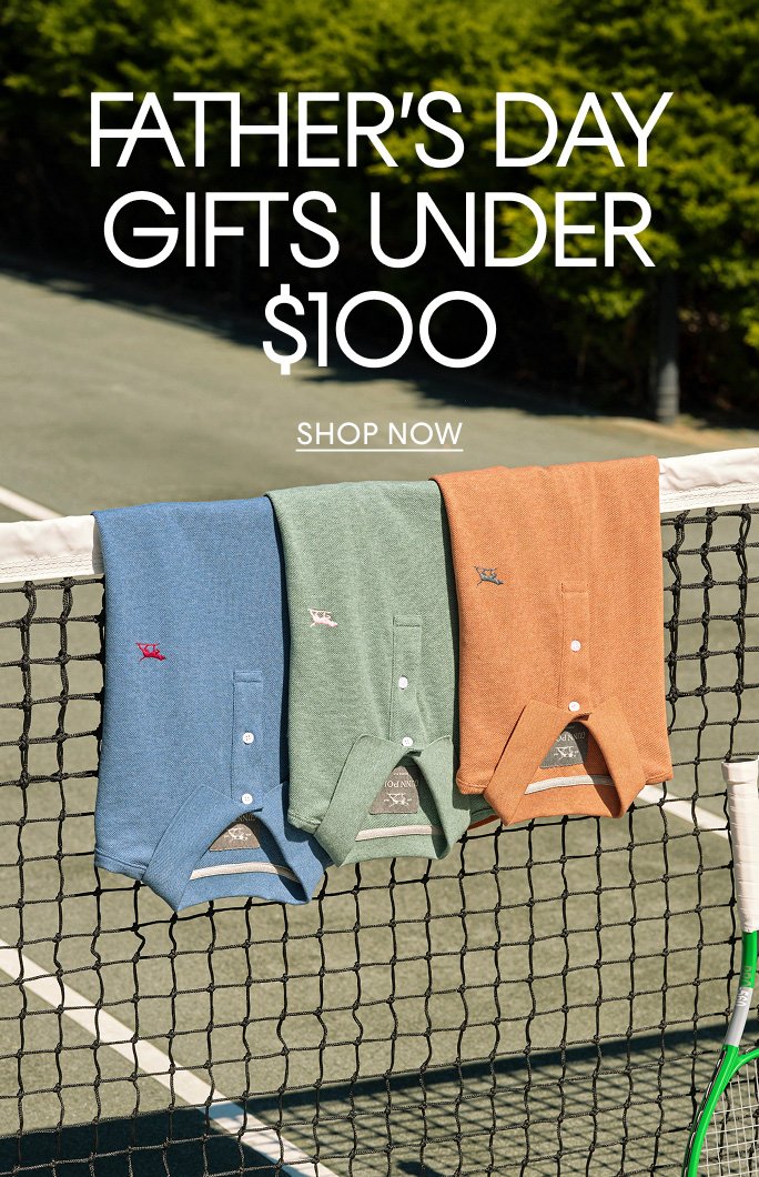 Fathers day gifts under $100.