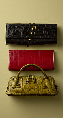 Explore Now: Fall Trends