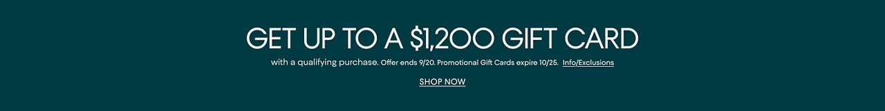 Get up to a $1,200 gift card with a qualifying purchase. Offer ends September 20. Promotional gift cards expire October 25.