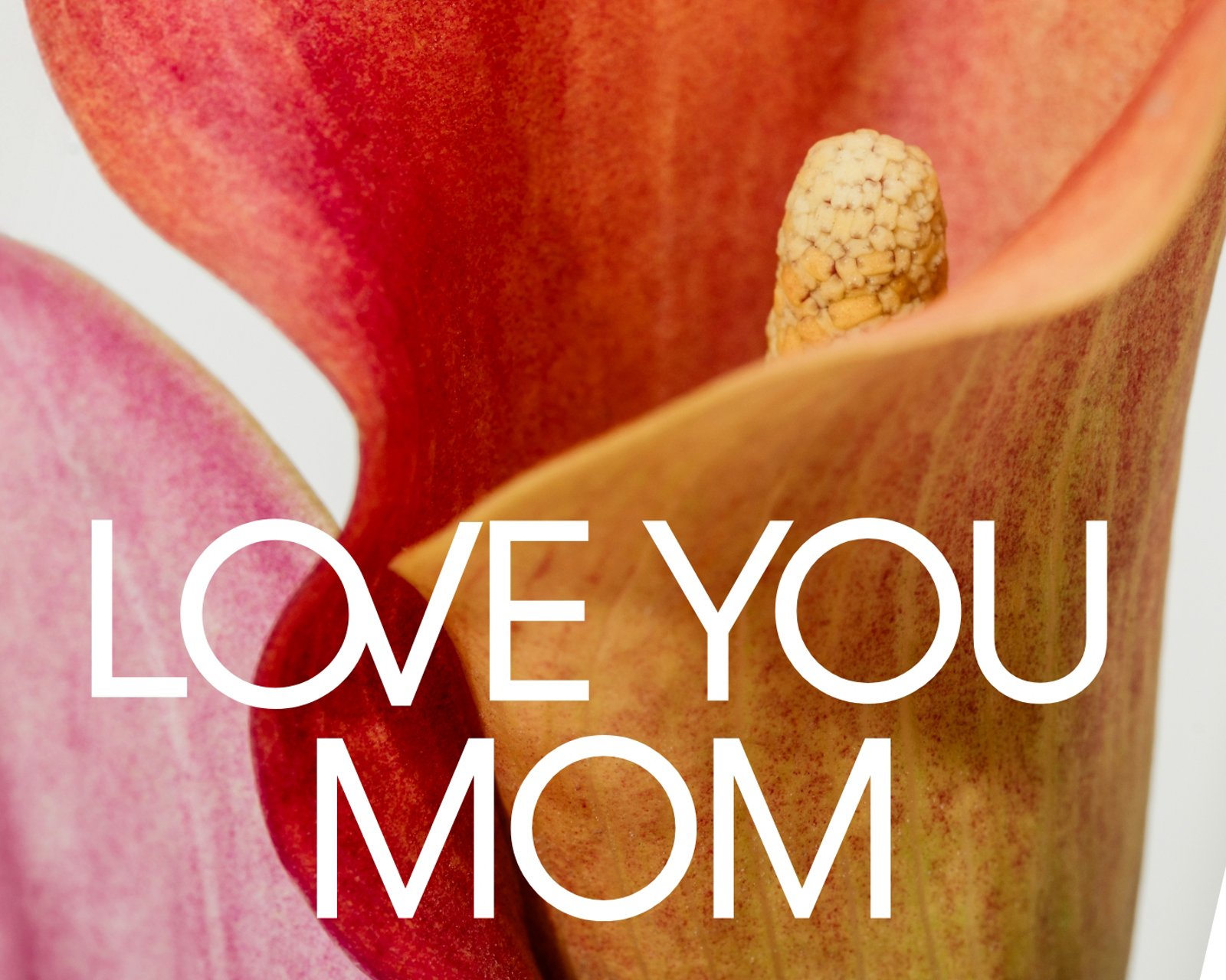 Gift cards, easy to give, great to get.