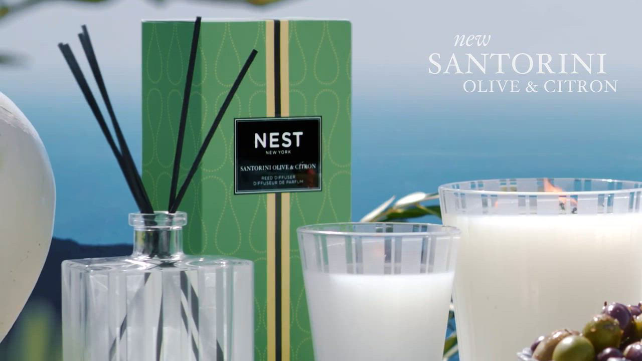 NEST New York NEST Fragrances Santorini Olive & Citron Candle