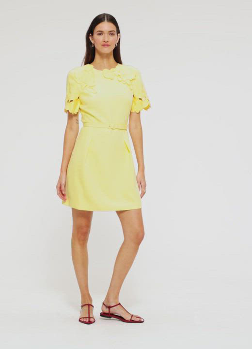 LEO LIN Aurelie アップリケ半袖ミニドレス LEO LIN Aurelie Appliqué Mini Dress | Bloomingdale's