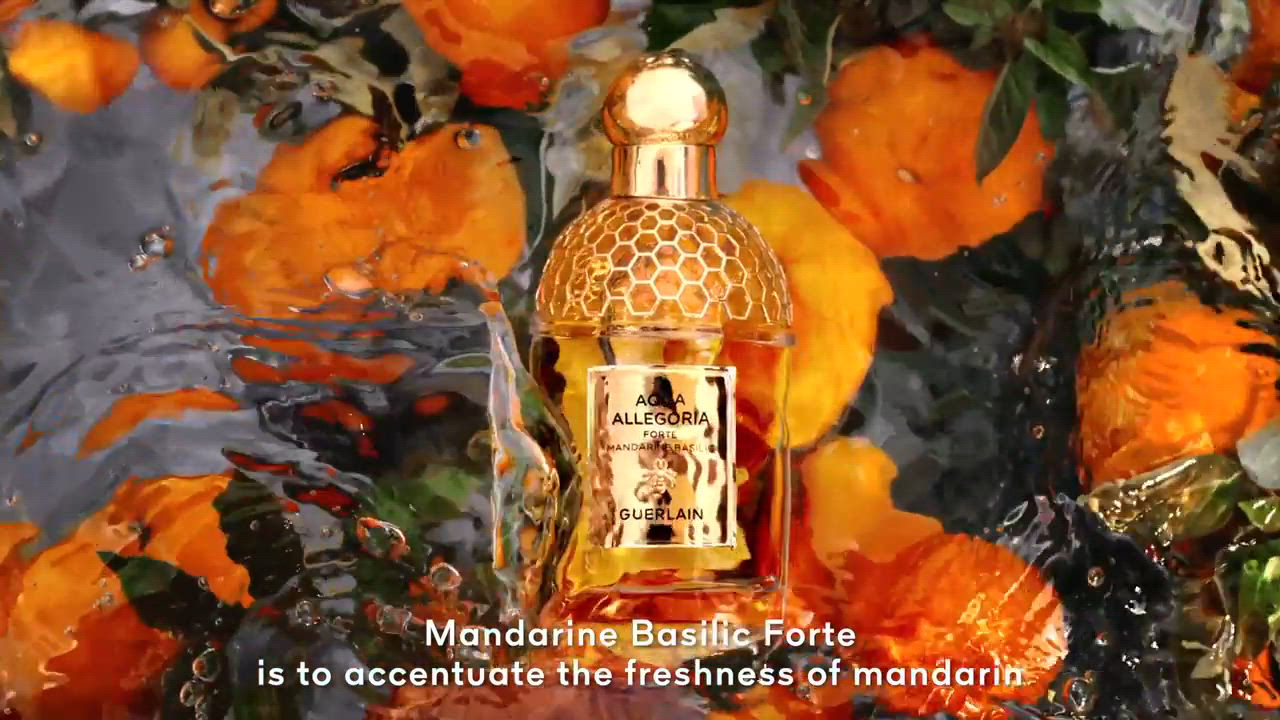 Guerlain Aqua Allegoria Mandarine Basilic Forte Eau de Parfum 4.2