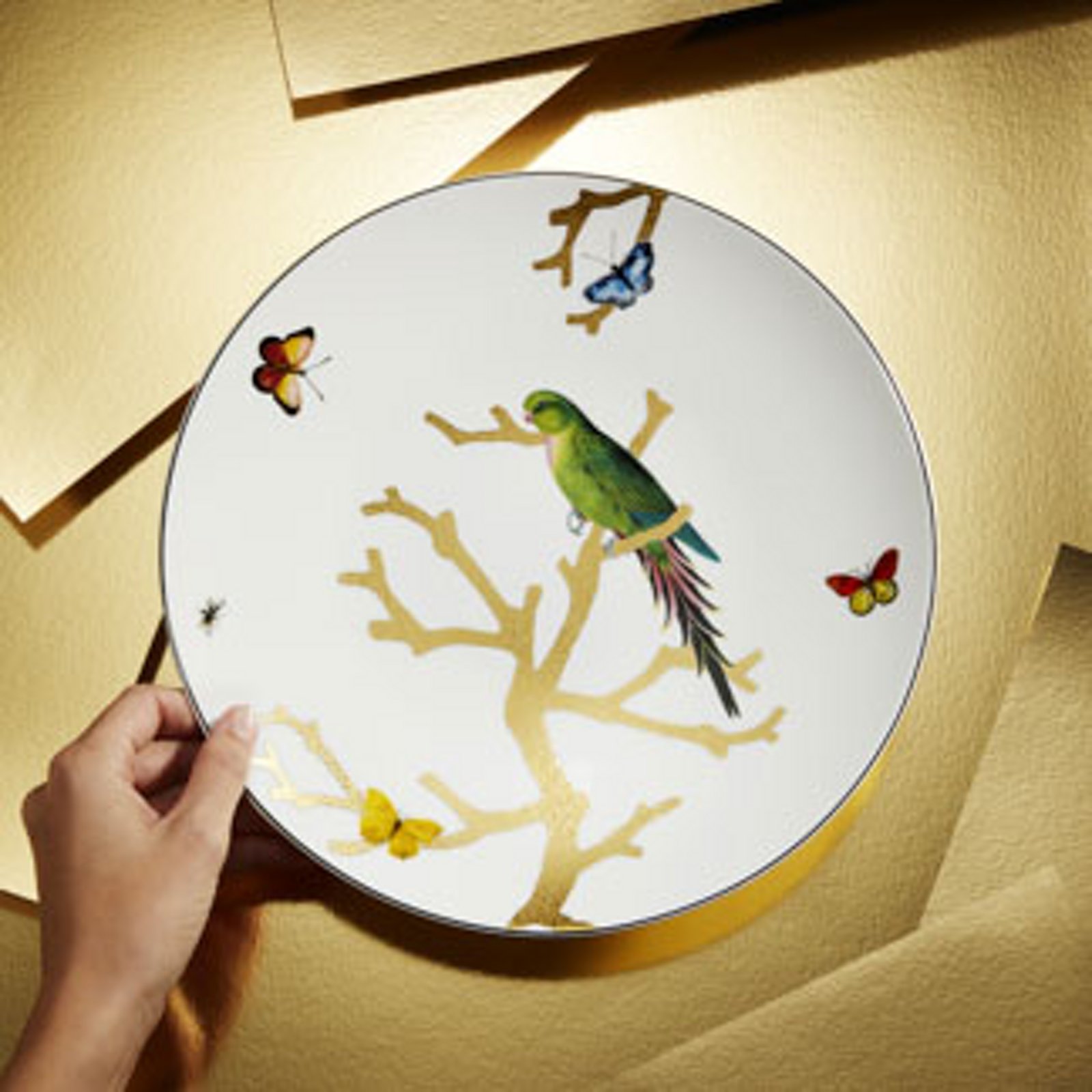 Bernardaud Decorated Dinneware Collections