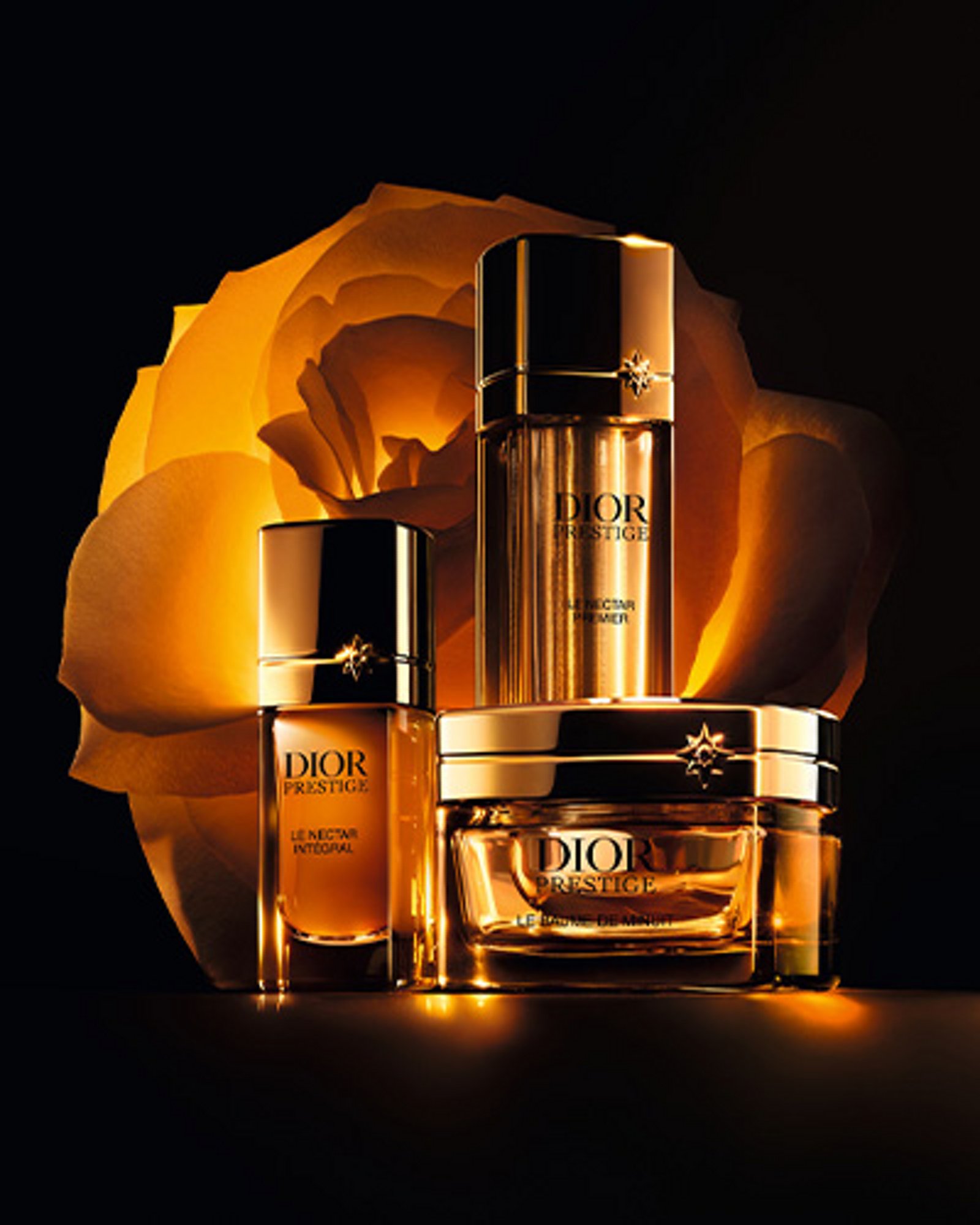 1 photo of 1 white gift box and 2 white gift bags with the Dior log and each item decorated with white ribbons with the Dior logo.