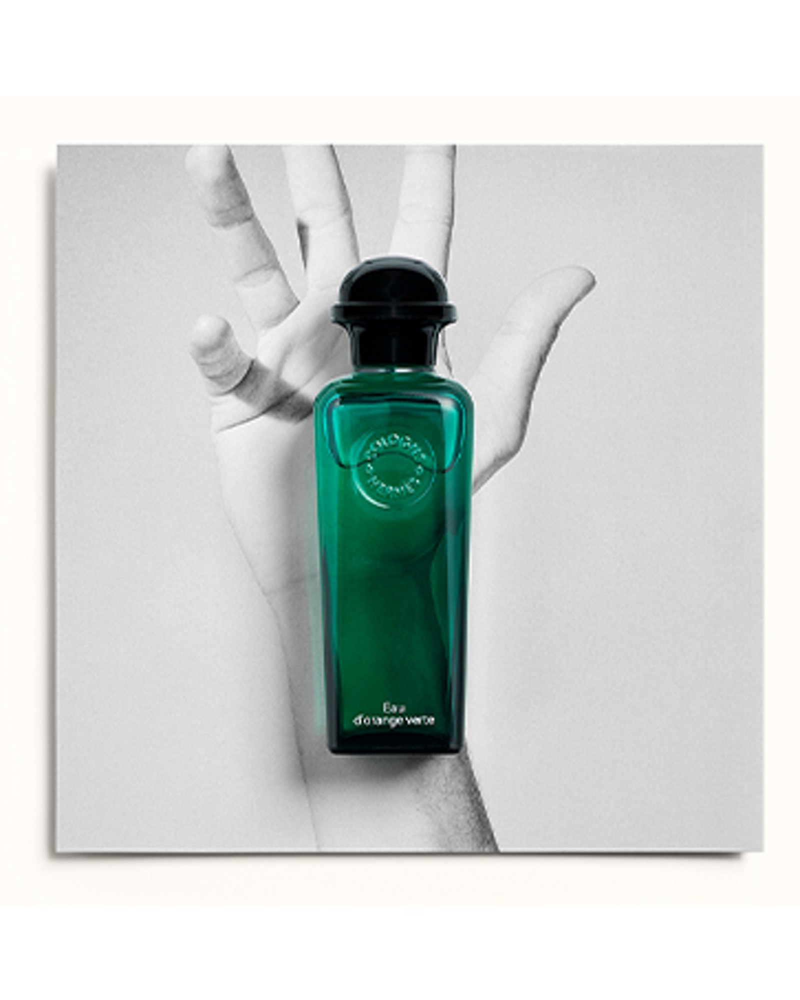 The Colognes