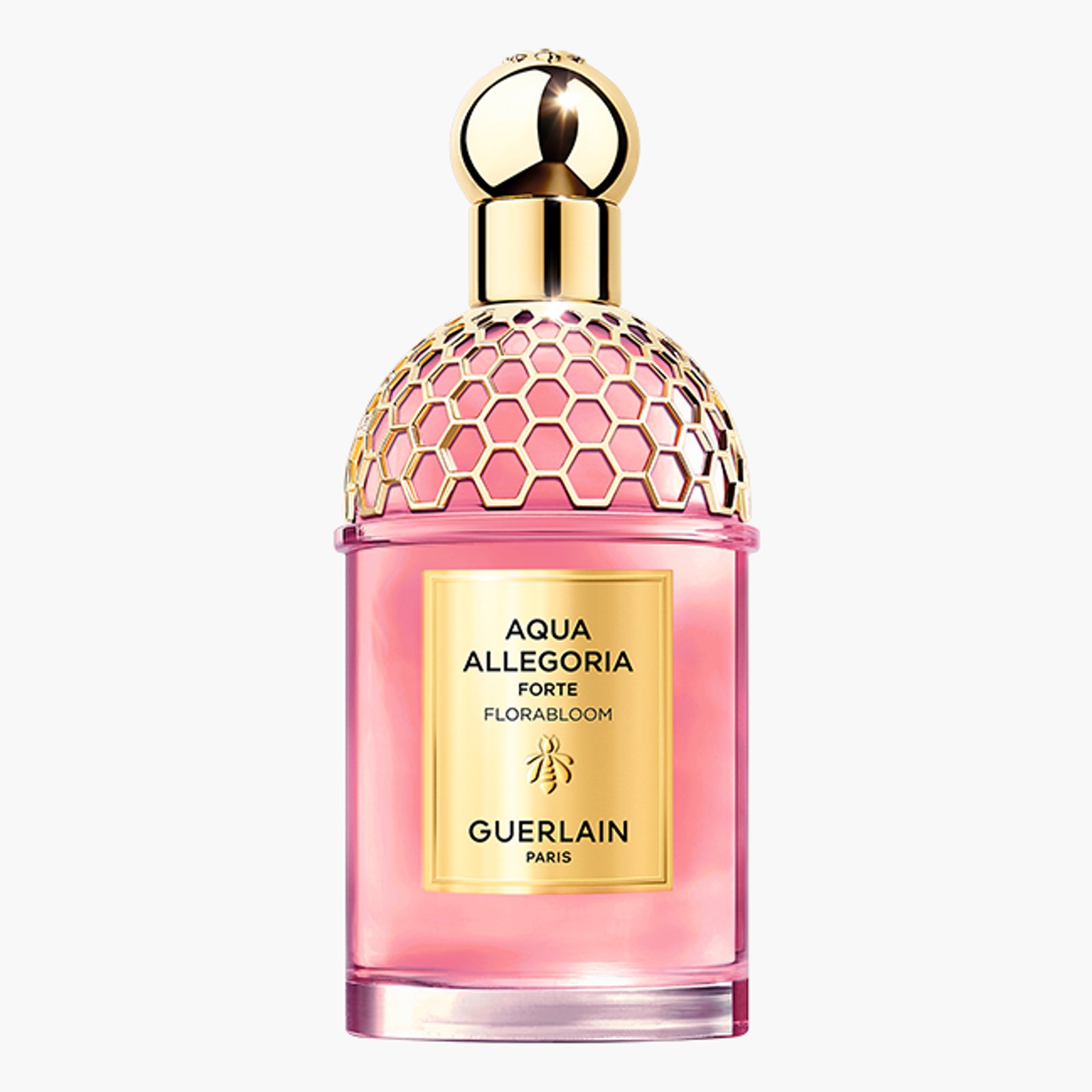 Fragrance