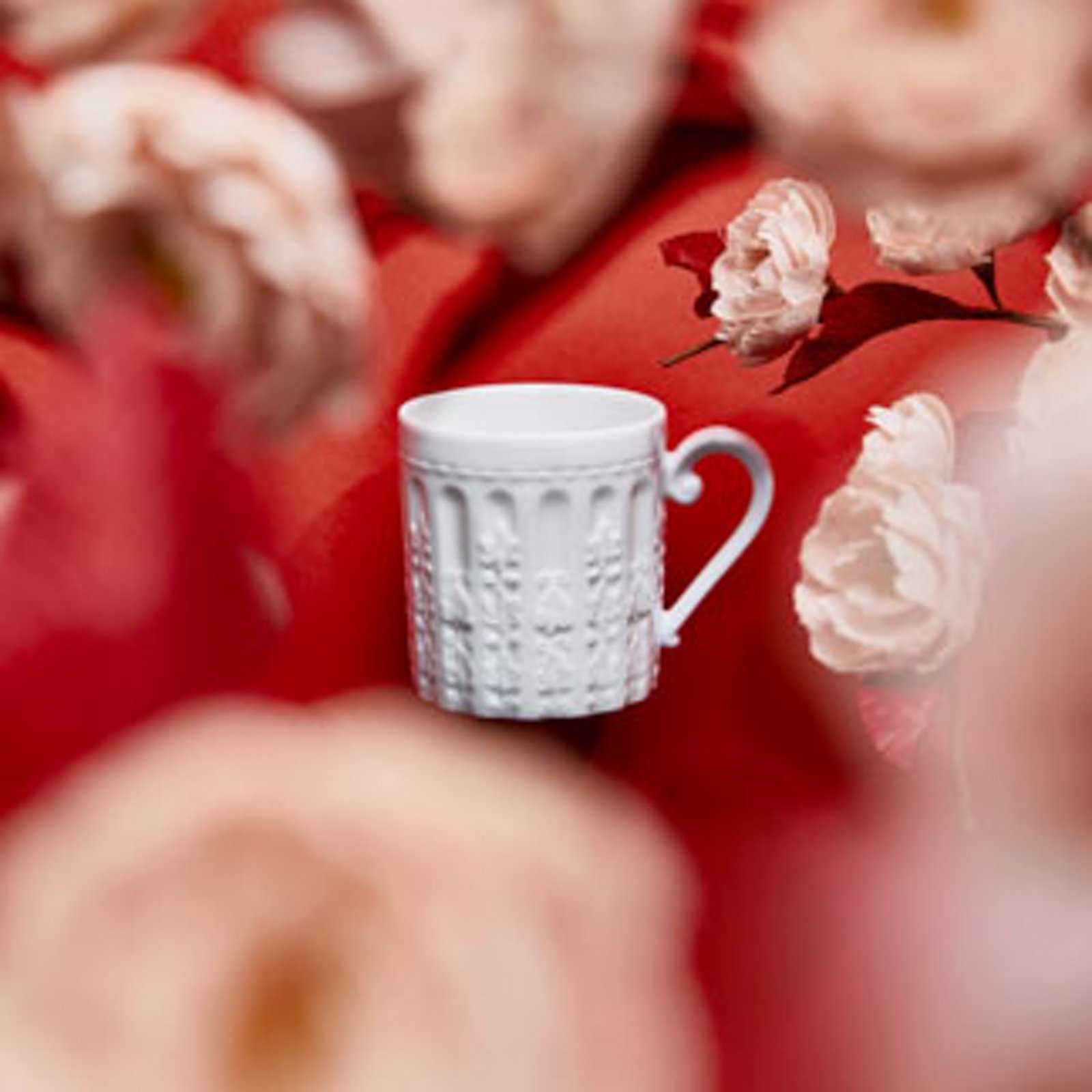 Bernardaud Whiteware Collection